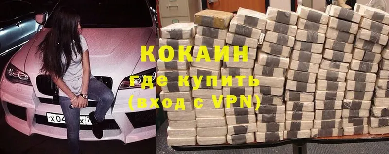 где купить наркоту  darknet клад  МЕГА tor  COCAIN Fish Scale  Кизилюрт 